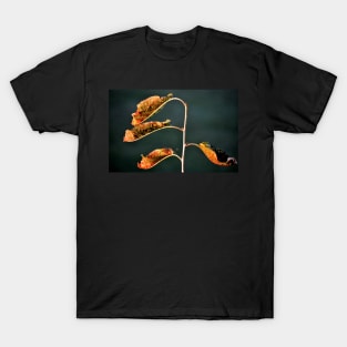 withered leaves T-Shirt